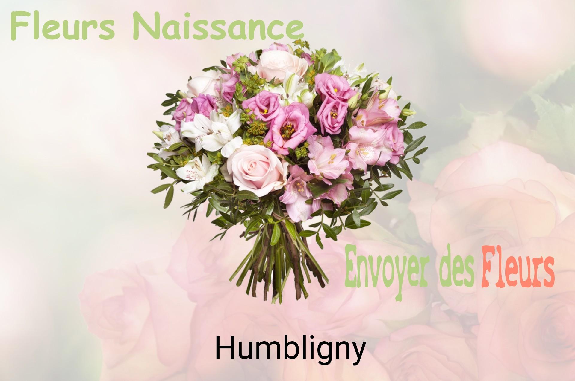 Bouquet de fleurs de naissance livré à Humbligny
